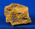 limonite